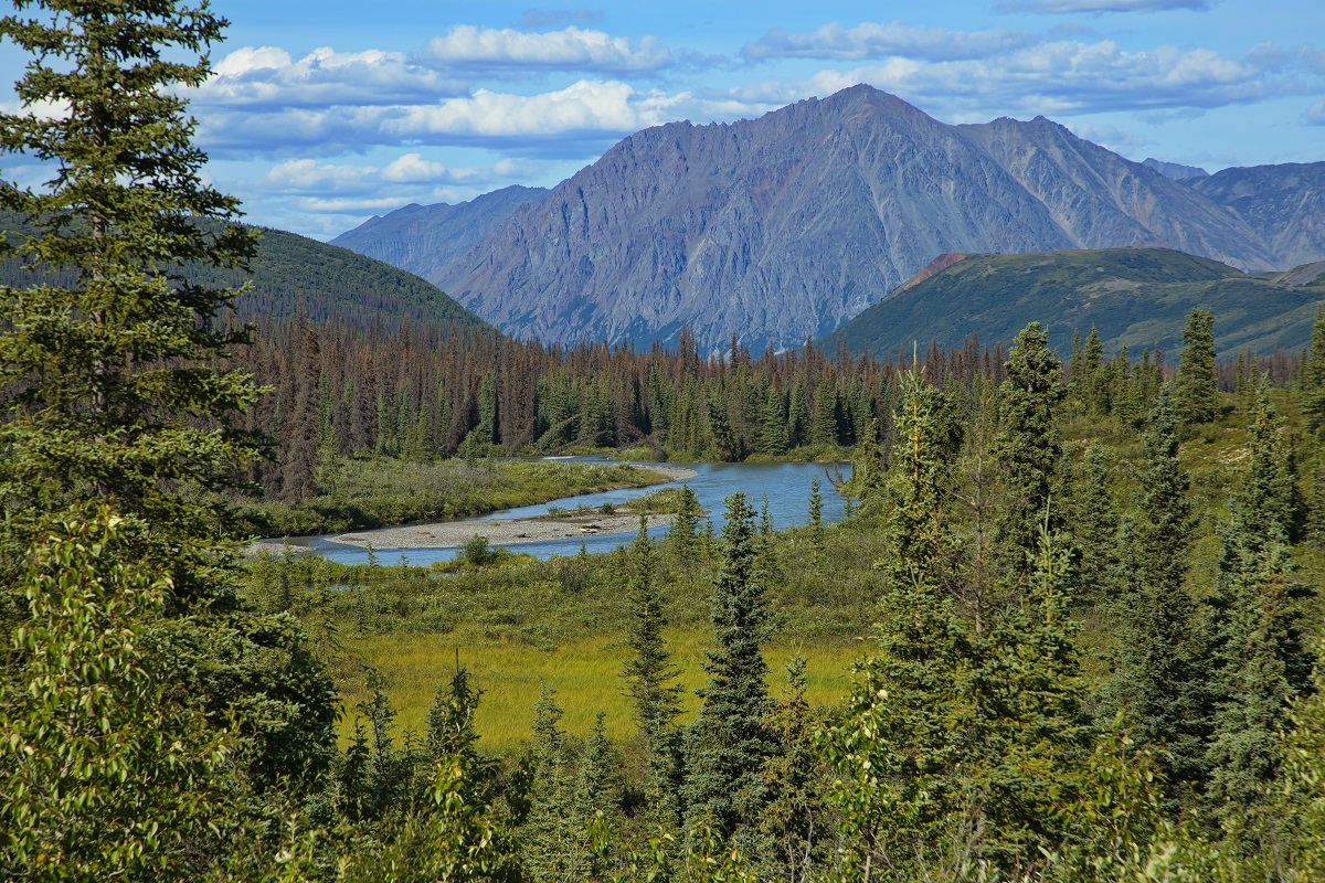 Scenic view of Denali National Park