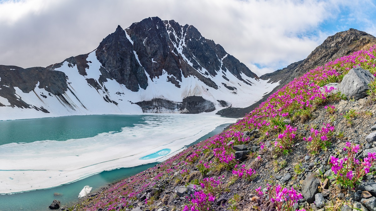 Natural landscape in Yukon Territory