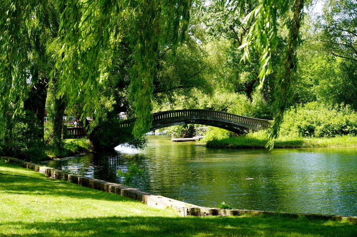 A bridge on Toronto Central Island