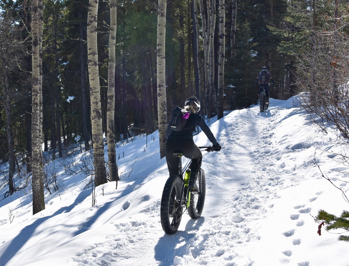 Fat biking in Alberta