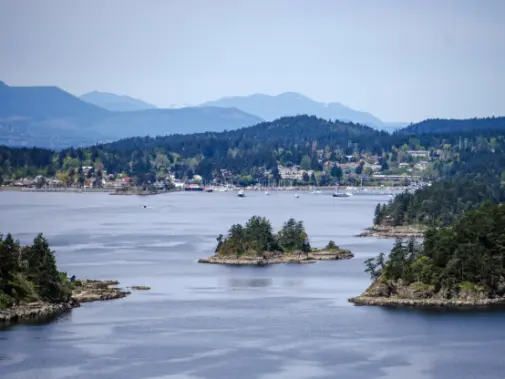 Saltspring-Island.jpg