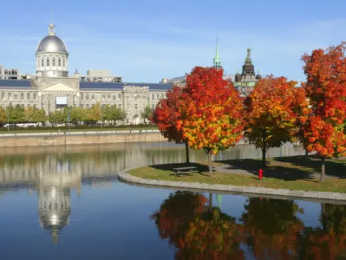 Old-Montreal-thinkstock.jpg