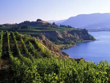 okanagan vineyards winery scenic