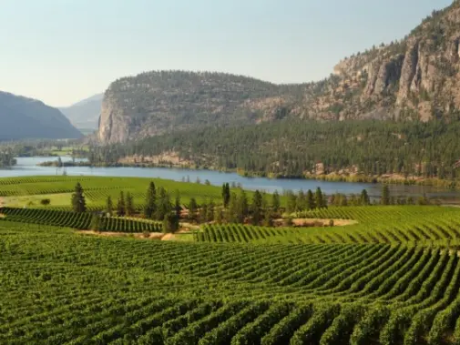 Okanagan-Valley.jpg