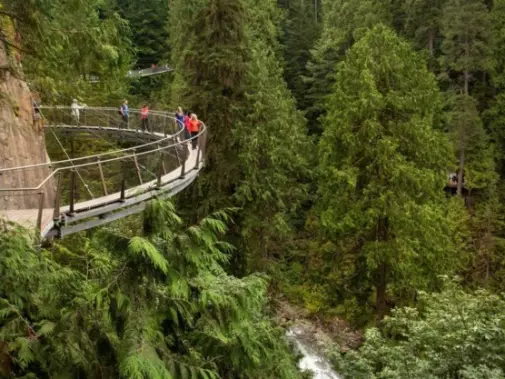 Tourism-VancouverCapilano-Suspension-Bridge-Park-2.jpg