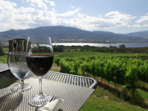 wine_glass_Okanagan_Valley_BC.jpg