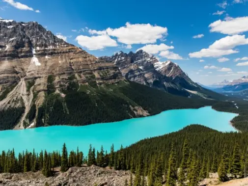 iStock-1206003941_Peyto_Lake_Banff_National_Park_Alberta.jpg
