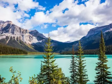 Emerald Lake surrounded by forest