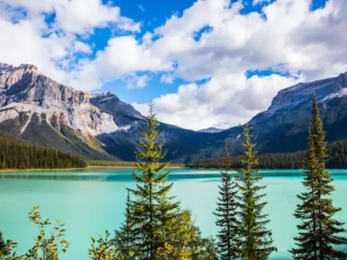 iStock-547531386_Emerald_Lake_Yoho_National_Park_BC.jpg