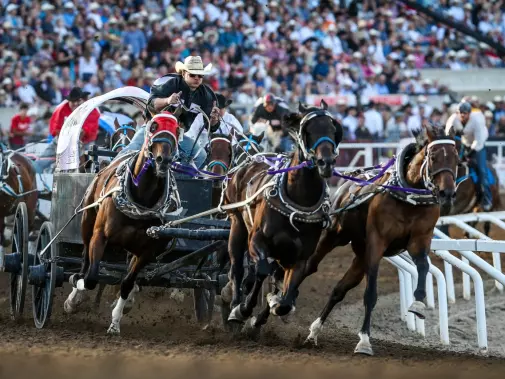 chackwagon_races_photocredit_calgary_stampede.jpg