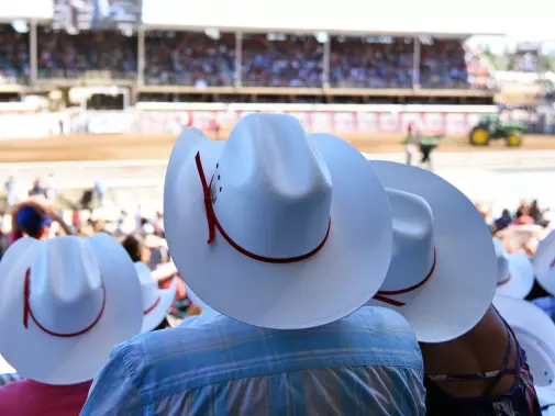 istock-1008185882_calgary_stampede.jpg