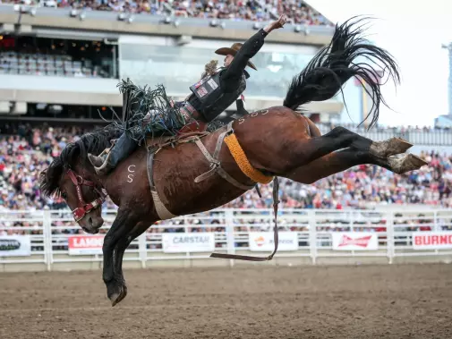 rodeo_photocredit_calgary_stampede.jpg