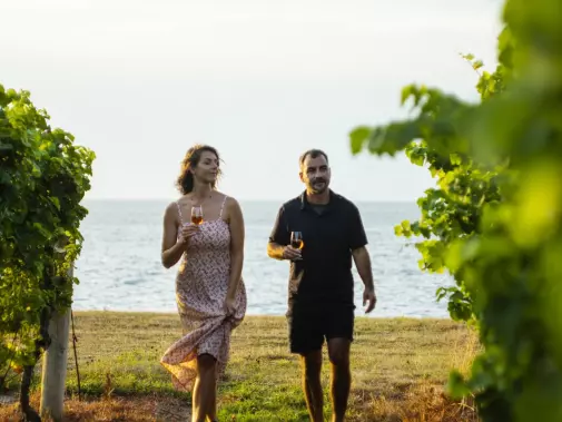  Walking through a vineyard at Niagara-on-the-Lake, Ontario.