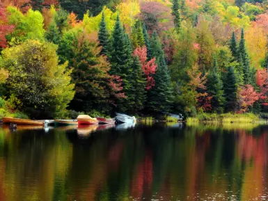 Canoes sitting on a lake in Algonquin Park in autumn