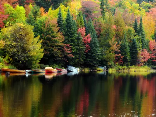 istock-175486113_algonquin_provincial_park.jpg
