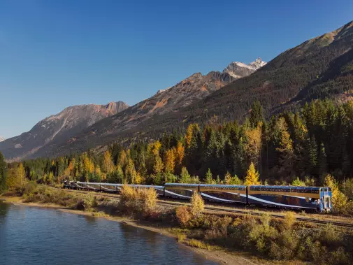 Rocky Mountaineer train winding its way alongside a tranquil river, flanked by the vibrant hues of autumn foliage.