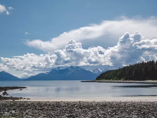 The quaint coastal village of Ketchikan, colorful wooden buildings on stilts along a pier, surrounded by lush green trees in a small coastal village.