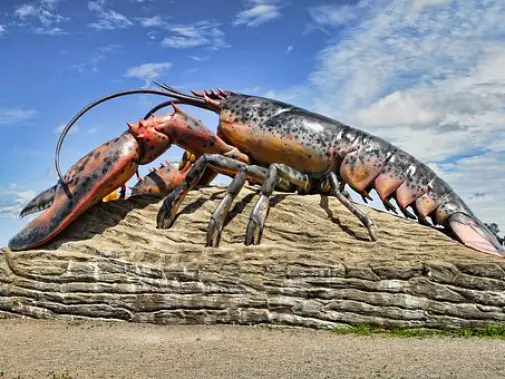lobster-2358898__340.jpg