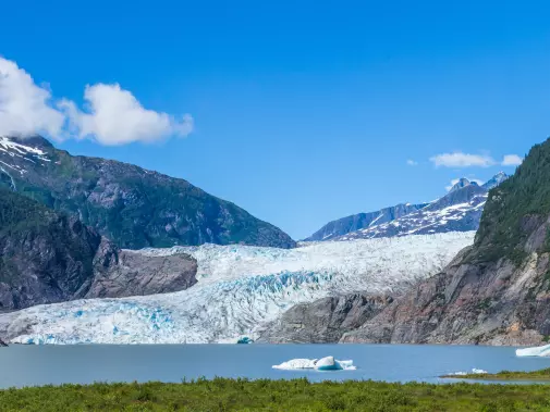 A vibrant view of Mendenhall glacier, Juneau, surrounded by green foliage and mountain slopes under a clear blue sky.