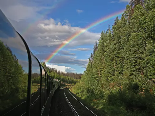 VIA Rail travelling through a lush forest, with a stunning rainbow arching across the clear blue sky.