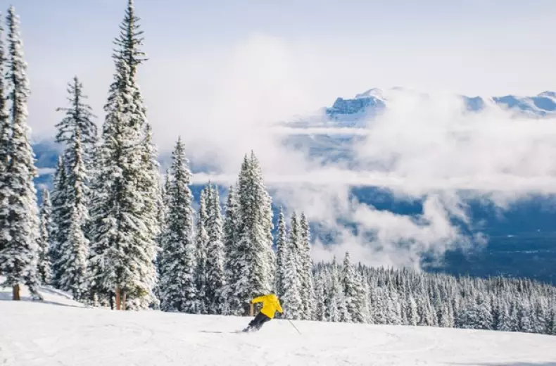 A skier amid snow-covered trees