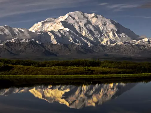 Dramatic and  stunning reflection of Denali in a calm lake, framed by a clear sky and a lush green forest in the foreground