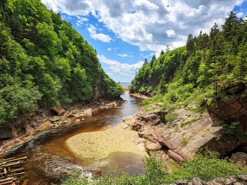 fundy-national-park.jpg