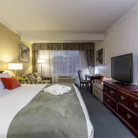 Standard (1 King Bed)