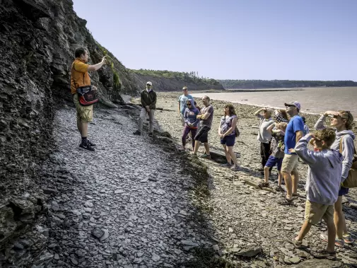 ns-joggins-fossil-cliffs.jpg