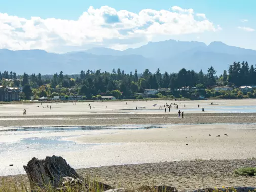 parksville.jpg
