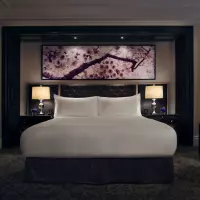 Superior One King Bed