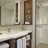 Standard (1 King Bed)