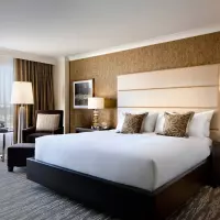 Signature Harbour View