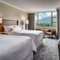 Deluxe Studio Suite Mountainview