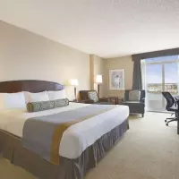 Coast With Ocean View