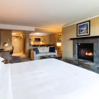 Premier Studio with Kitchen