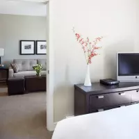 1 Bedroom Suite