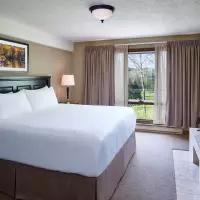 1 Bedroom Condo (1 King Bed) - Hillside Or Greens