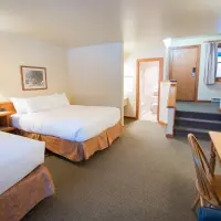 Standard Garden View