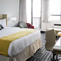 Coast King with Partial View