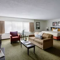 Junior Executive Suite (1 King Bed)