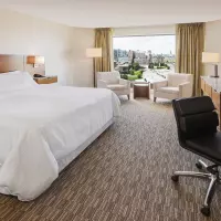 Deluxe Parliament View