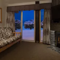 One Bedroom Apartment