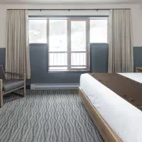 The Approach - Bluebird Room