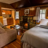 Medium Cabin Alberta