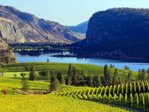 okanagan-valley.jpg