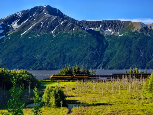 coastal-classic-train---turnagain-arm-2---pc-teresa-severson.jpg